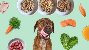 Organic Pet Food – A Healthier Choice for Your Furry Friends Organic Pet Food
